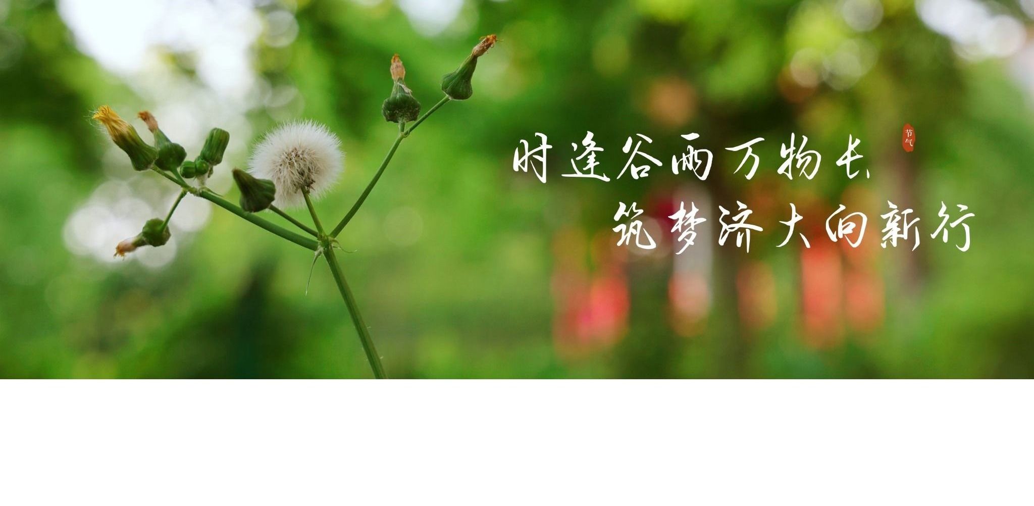 时逢谷雨万物长，筑梦济大向新行