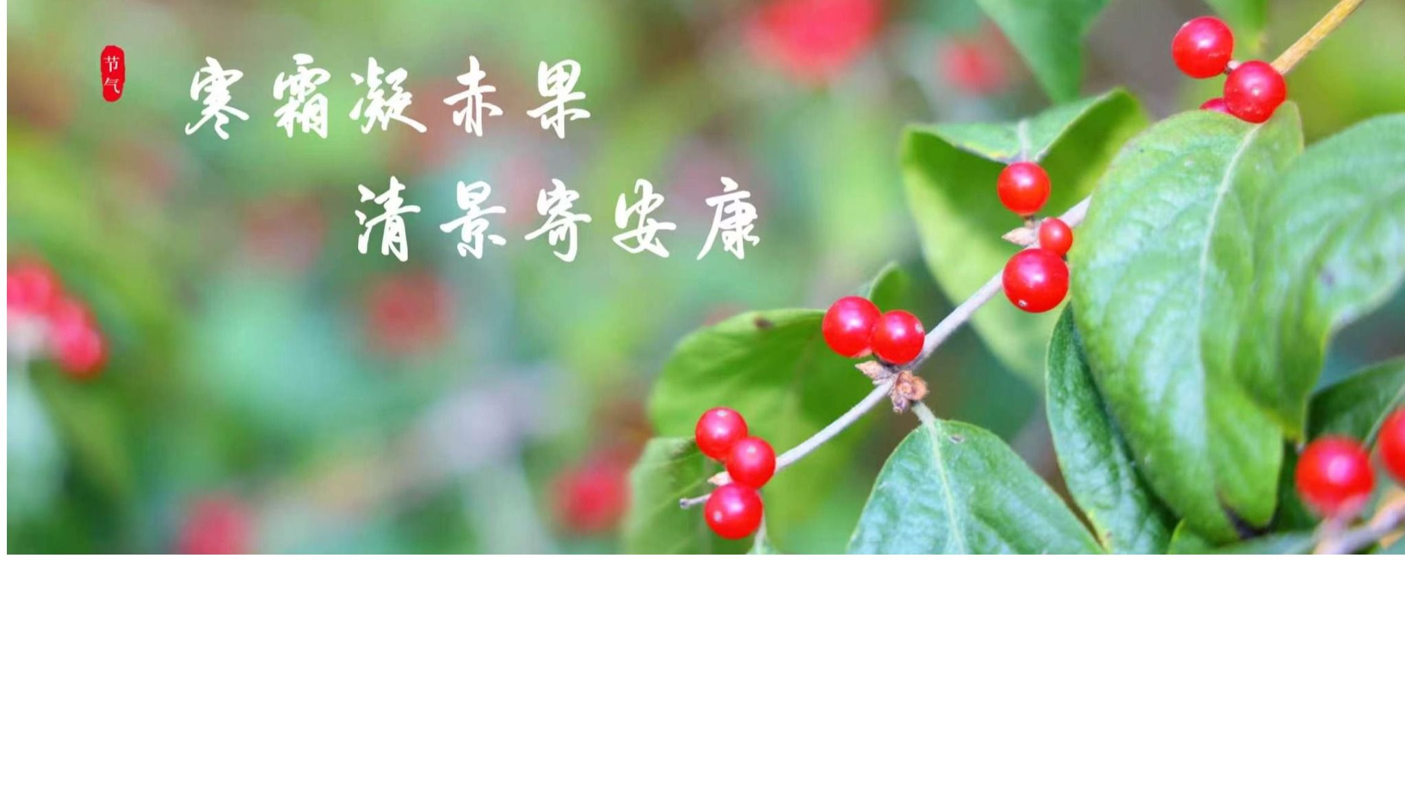寒霜凝赤果 清景寄安康