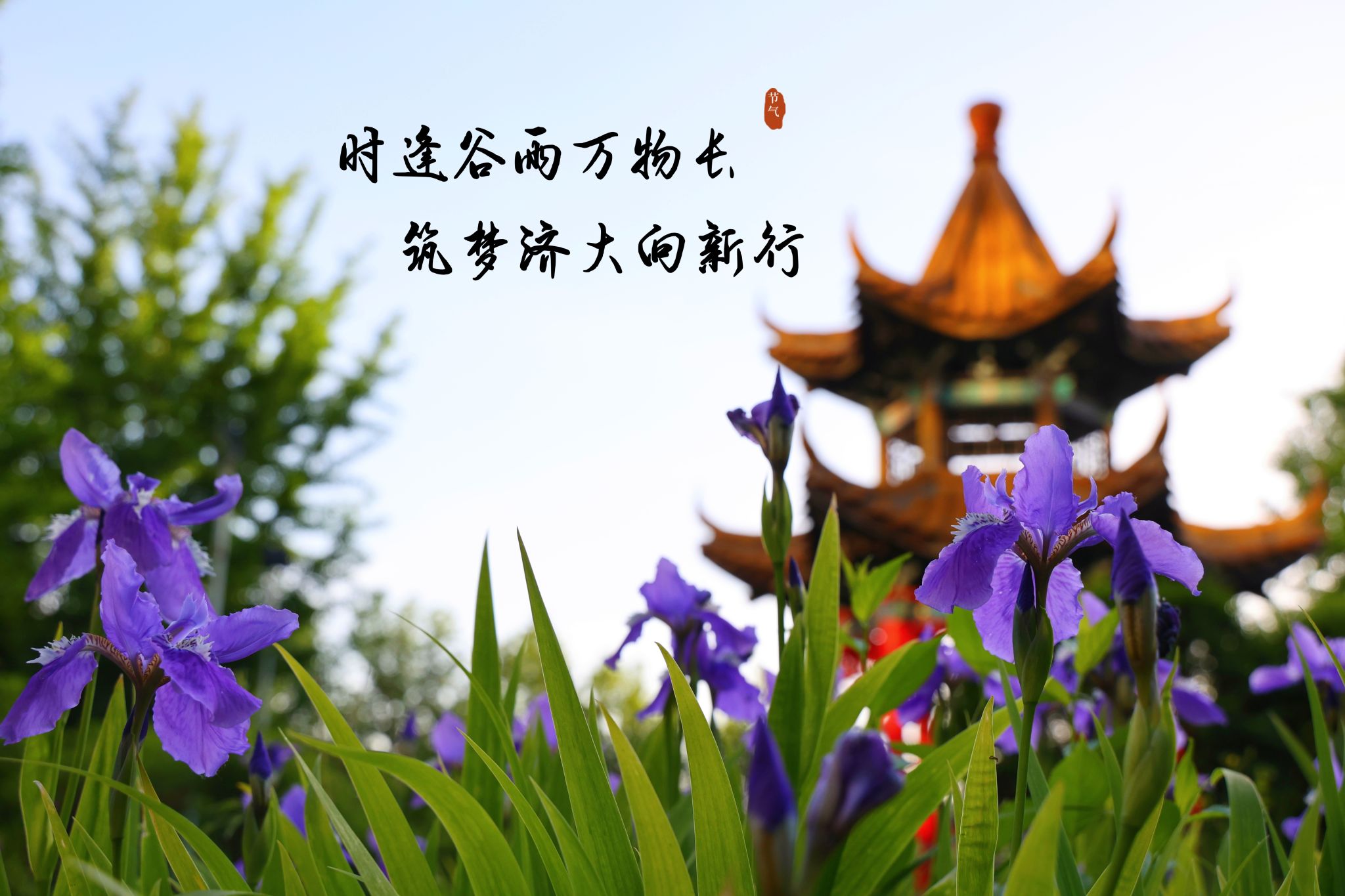 时逢谷雨万物长 筑梦济大向新行